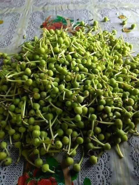 စင်းပြွန်းသီး