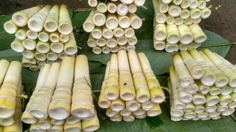 မတဲမွှတ်