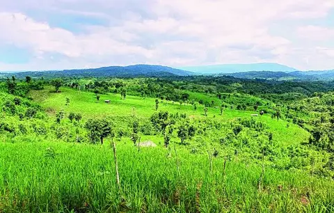 ဒေနေရာစာ ကောင်းကောင်း သာယာပါရေ